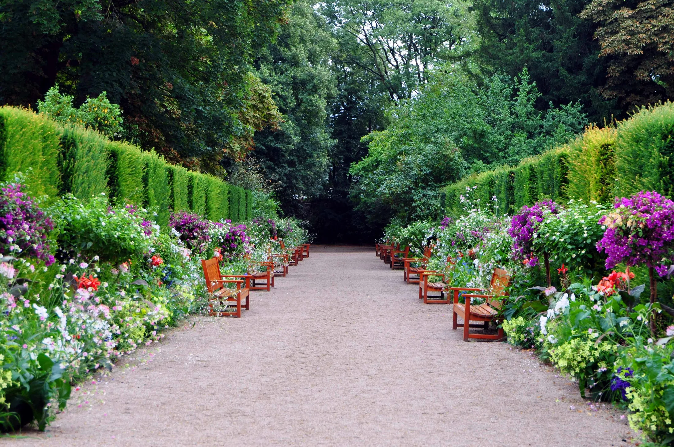 Gepflegter Gartenweg zwischen üppigen Blumenbeeten